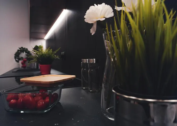 Appartement Dworcowa 45 *